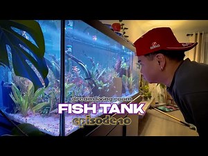 Adding Plants for my 75 Gallon Fish Tank | Episode 10