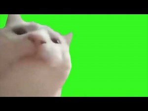 Cat Vibing Green Screen | Perfect Extended Loop Version | 4K | Free Download
