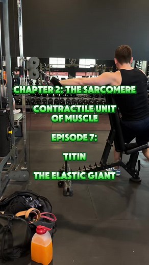 Understanding Titin: Key Protein in Muscle Function