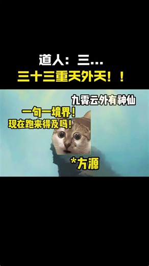 一，才一转敢这么嚣张？一从大地起风雷#cheems #猫meme #搞笑 #funny #熱門