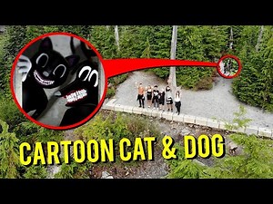 7 CARTOON CAT, CARTOON DOG Reales Captados en CÁMARA y Vistos en la vida REAL