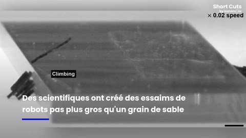 Des minuscules robots fourmis font preuve d'une force incroyable
