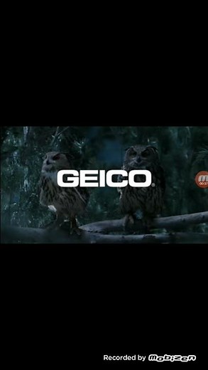 GEICO COMMERCIAL 2020