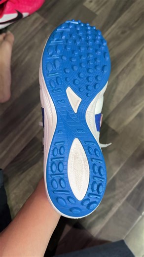 Japan TF 41 - Sport Corner Review