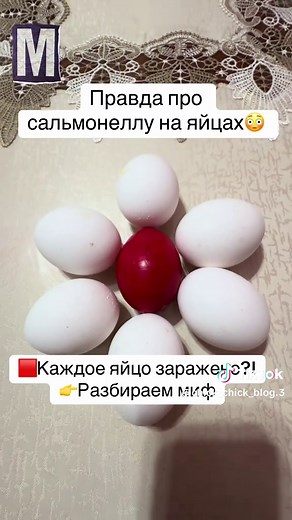 #цыпцыпблок #курочки #цыплята #инкубация #птицеводство