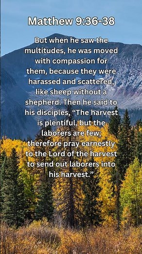 Jesus Saves | Matthew 9:36–38 Daily Bible Verse