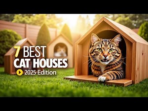 7 Best Outdoor Cat Houses of 2025