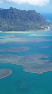 2K views · 23 reactions | Happy World Oceans Day 酪 Our ’Ohana, @ge_keoni, explains the importance of our ocean and how we can be better stewards of the water every day, not just for World Oceans Day. #AnywhereAloha | OluKai | Facebook