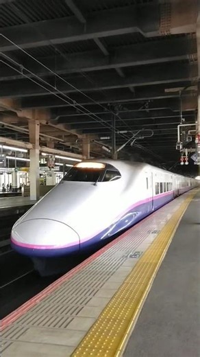 東北新幹線 E2系 新幹線 東京行き 大宮駅発車ｼｰﾝ #E2系#東北新幹線#さくらみこ#ネコ島
