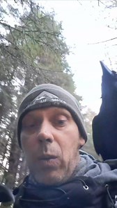 32K views · 1.2K reactions | Rag's really does have lots to say all of the time. I had only asked if he was ready to go home. | Nicholas Crawford | Facebook