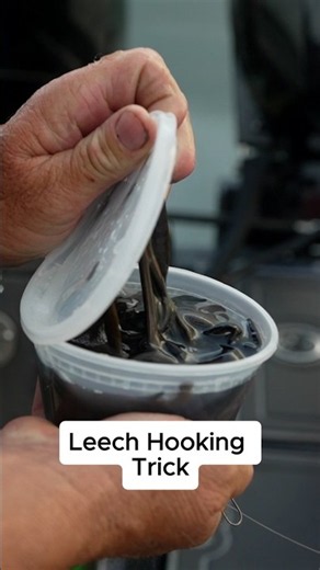 Try This Trick With Your Leeches #fishing #fishingtips #shorts