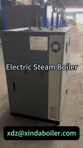 Electric steam boiler for food industry