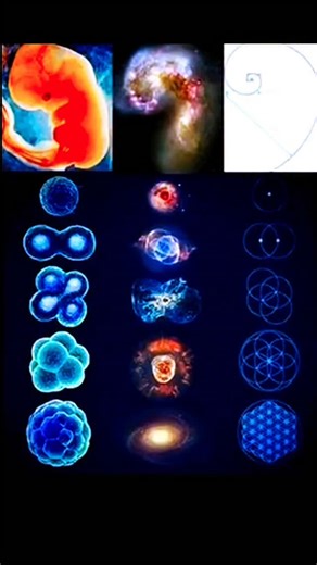 𝖩𝗎𝖺𝗇 𝖯𝖺𝖻𝗅𝗈 𝖥𝗋𝖺𝗇𝖼𝗈𝗅𝗂𝗇𝗂 on Instagram: "⚕️¿Cuál es la aplicación práctica de una espiral áurea? 🌀 Sabemos que el Cosmos esta modelado con proporciones matemáticas y fuerzas, sin descuidar que esta vivo, vemos que tanto proporciones como Pi y Phi, fuerzas centrífugas y centrípetas, toroides y coriolis, gobiernan armoniosamente a las formas universales, desde el átomo, pasando por el feto, hasta la galaxia. 🗝 Pero, en el caso de la proporción de oro, que el celebre Pitágoras popu