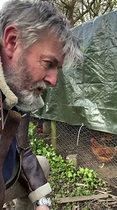 1.3K views · 80 reactions | Did you know that chickens will eat FROGS??? | Eat The Country | Facebook