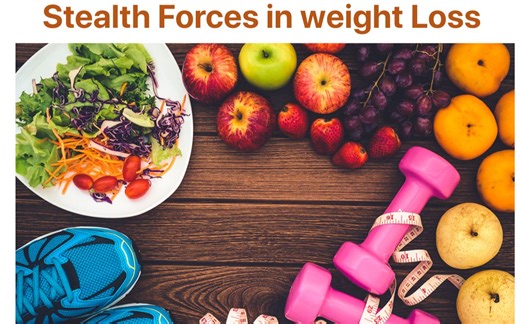 雅思阅读真题文章精讲+答疑 Stealth Forces in Weight Loss