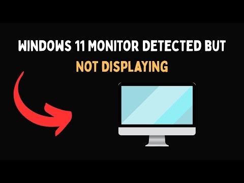 Windows 11 Monitor Detected but Not Displaying