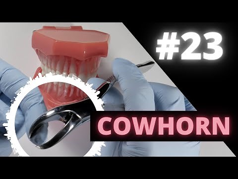 Mastering The #23 Cowhorn Forcep | OnlineExodontia.com