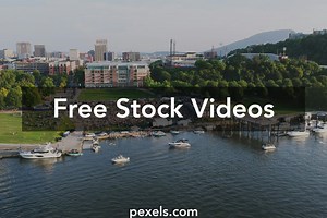 Rema Concert Videos, Download The BEST Free 4k Stock Video Footage & Rema Concert HD Video Clips