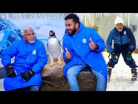 DAD meets PENGUINS🐧😍 at Largest Snow Park in Dubai 😮🥶 | Ski Dubai, Mall of the Emirates