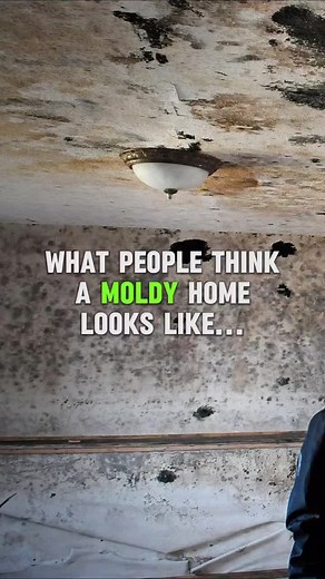 Mold doesn’t just live in old, dirty homes. It hides in clean, modern spaces, too. What most people think moldy homes look like: ❌ Dark, damp, and dirty. What moldy homes actually look like: ✅ Bright, clean, and picture-perfect — but with hidden mold growing behind walls, under sinks, and in vents. Don’t judge a home by its cover. Hidden mold is the danger you can’t see, and it could be in your home right now. 📌 Save this post to remind yourself — clean doesn’t always mean safe. Call us today f