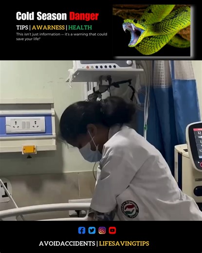 dr cardio on Instagram: "Snake Safety Alert Disclaimer : This video is only for public awareness and educational purpose. Do not try to catch, hit or handle any snake by yourself. Always call your local wildlife rescue team for help. The creator is not responsible for any misuse or harm caused by attempting activities shown in the video. #SnakeAwareness #WildlifeSafety #StayAlert #DangerousAnimals"