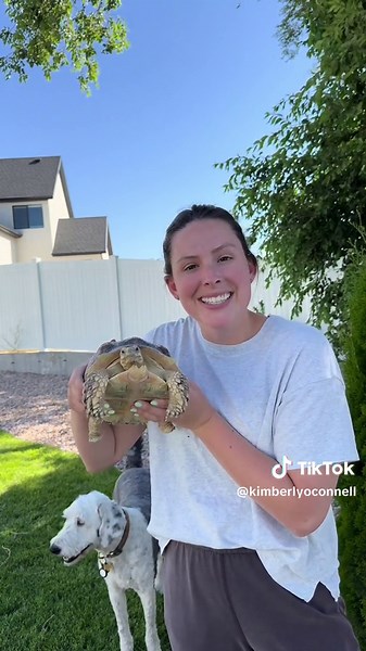 Where and How We Got Each of Our 6 Tortoises! 🐢🐢