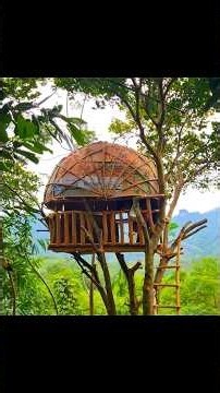 How I Built an Amazing Survival Treehouse Using Cardboard Boxes 🏕️ | DIY Bushcraft Shelter #logcabin