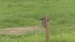 Nesting sites in Salmon Arm Bay damaged in series of escalating attacks