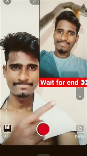 squirrel scurry filter tutorial shorts #tutorialfilter #shortsfeedshortsfeed