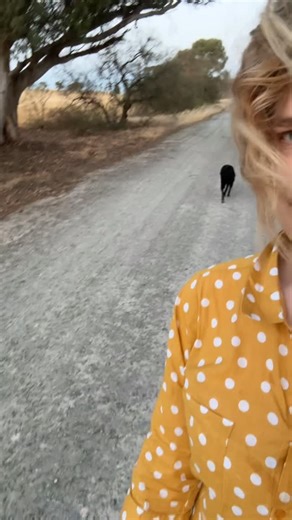 Johanna Darwin on Instagram: "She has the boogie fever and apparently I’m the cure #dog #labrador #bofa"