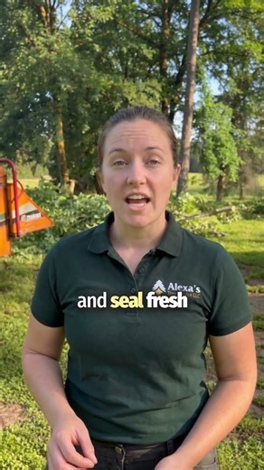 How Do You Trim an Oak Tree Without Risking Oak Wilt?
