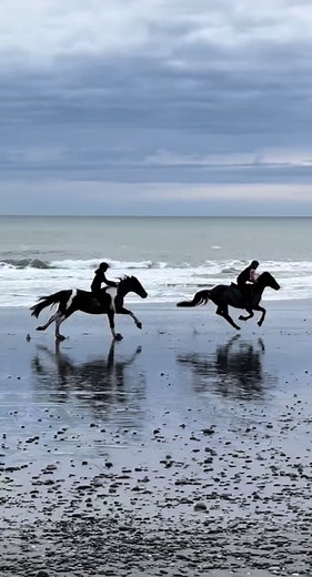 Having no saddle was fun until it wasnt 🤦🏽‍♀️ @alicia