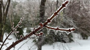 Ryan Snoddon's weather forecast for Feb. 4, 2022