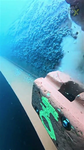 Did You Know Ships Are Cleaned Underwater? 🚢🌊