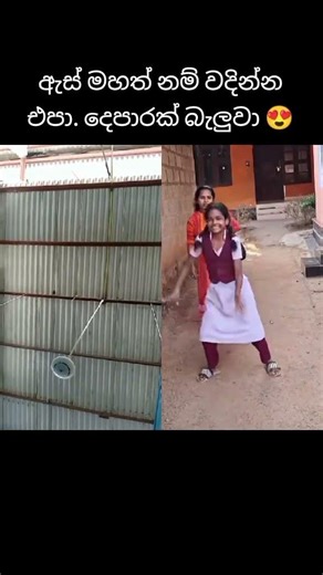 කොහොමද නැටිල්ල