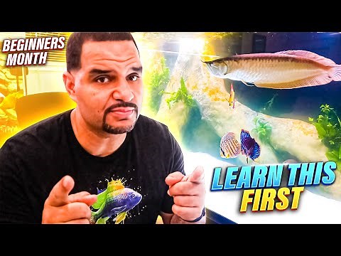 The Aquarium Nitrogen Cycle Video You've Been Looking For! (SIMPLE)