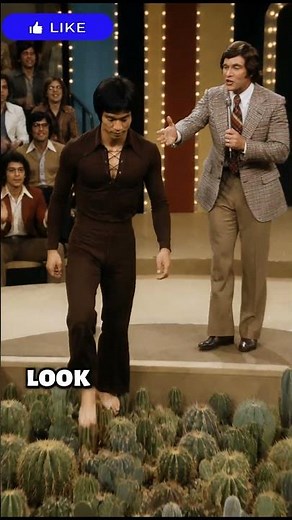 Bruce Lee vs Cactus Pit 🌵🔥