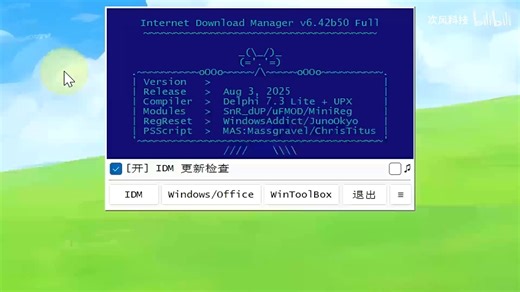 IDM激活工具，支持IDM全系列版本！可激活Windows电脑Win7、Win8、Win10、Win11操作系统，Office2016到2024、365套件！