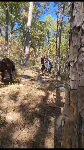 Heaven's Gate RV and Retreat on Reels