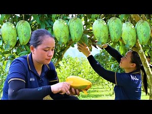 A Productive Day Alone: Harvesting Massive Mangoes & Developing My Farm 🥭🏗️🏡