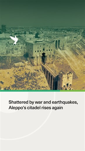 4.8K views · 792 reactions | After more than a decade of war, Aleppo’s historic citadel has reopened its gates to visitors, symbolizing resilience and recovery for the war-torn city. | The New Arab | Facebook