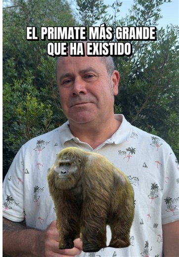 Gigantopithecus: el primate de 3 m y 300 kg que convivió con Homo erectus