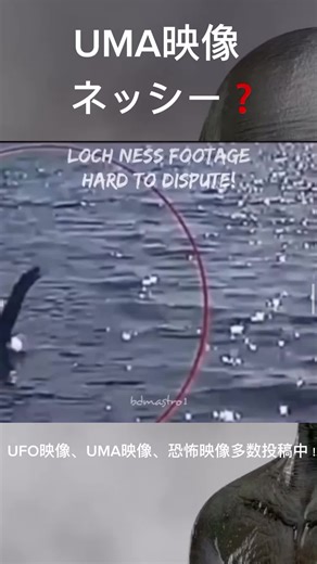 #UFO #UMA #恐怖映像 #UFOアブダクション #宇宙人 #alien #abduction #未確認飛行物体 #UFO映像 #UMA映像 #タイムループ #CIA #エリア51 #NASAの極秘映像 #ビッグフット #bigfoot #未知との遭遇 #ネッシー #恐竜の生き残り