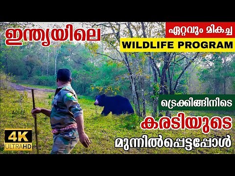 Periyar Tiger Trail - India's Best Wildlife Program | മനുഷ്യസ്പർശമേൽക്കാത്ത വനാന്തരങ്ങളിലൂടെ |4K UHD