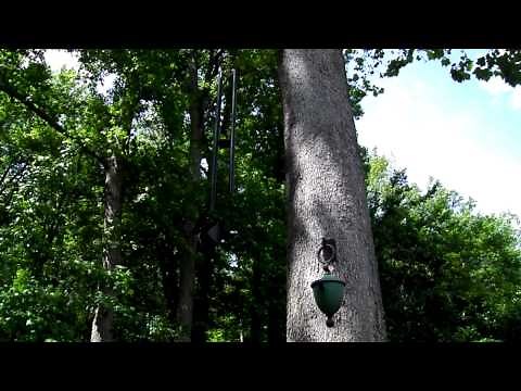 Music of the Spheres Westminster Windchime