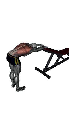 back stretch standing with bench.mp4