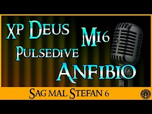 Sondeln 2019 🔰 SmS 🔰 XP Deus 🔰 Mi6 🔰 Pulsedive 🔰 Anfibio 🔰 Schatzsucher Chat für euch