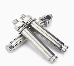 [Hot Item] Stainless Steel 304 Expansion Bolt Wedge Anchor Expansion Bolts Nuts Built-in Expansion Screw Support Customization