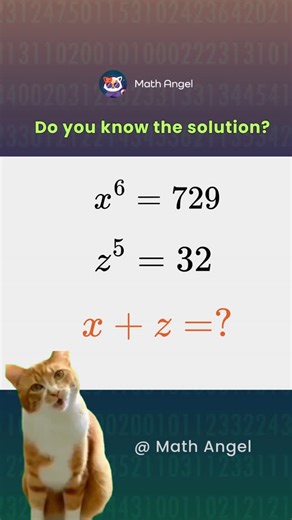 Math Angel on Instagram: "Explain like I’m year 7 😅 😎 Have any maths questions? Get instant, clear answers with our 24/7 AI Math Solver — ChatCat 😼 📸: @mathsangel_global #maths #math #mathangel"