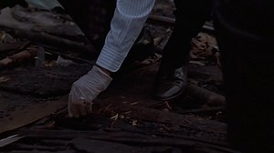 Devil.in.the.Flesh.1998